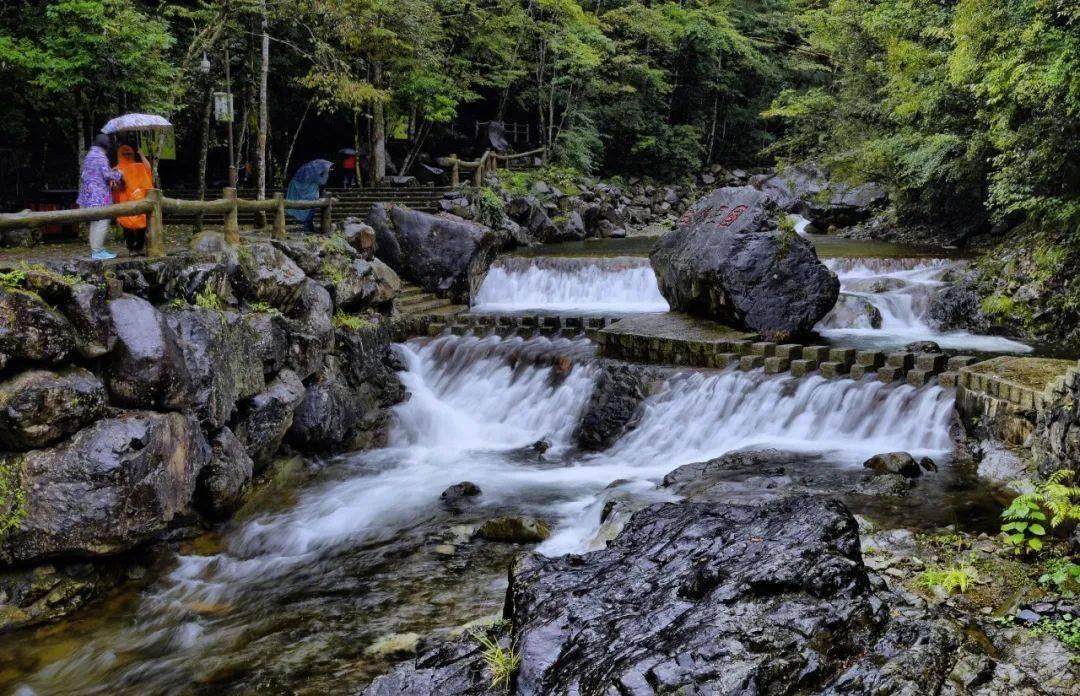 迷失在荒野